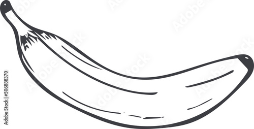 Hand-drawn doodle