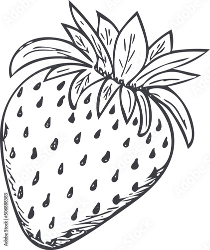 Hand-drawn doodle