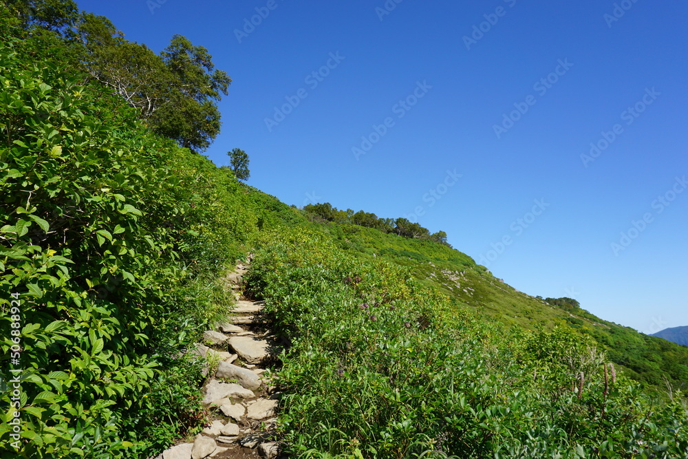 登山道 登山道
