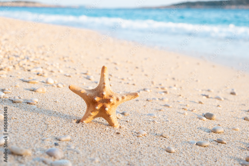Dry sea star on sandy sunny beach on background of beautiful turquoise blue sea.Seaside,coast, Summer tourism , travelling,vacation, concept, copyspace for text Dry sea star on sandy sunny beach on background of beautiful turquoise blue sea.Seaside,coast, Summer tourism , travelling,vacation, concept, copyspace for text