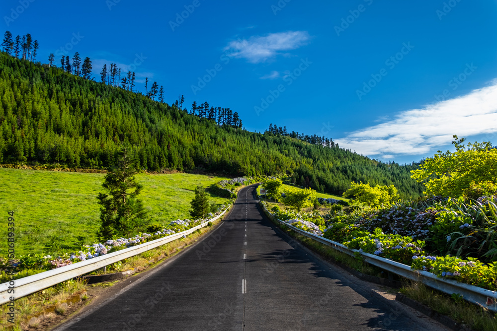 Traditional road with the green landscape and blue sky in the island of São Miguel in the Azores.