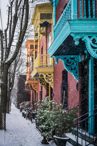Wallpaper Mural View of Roy street in Plateau Mont-Royal neighborhood on a snowfall day in Montreal, Quebec (Canada) Torontodigital.ca
