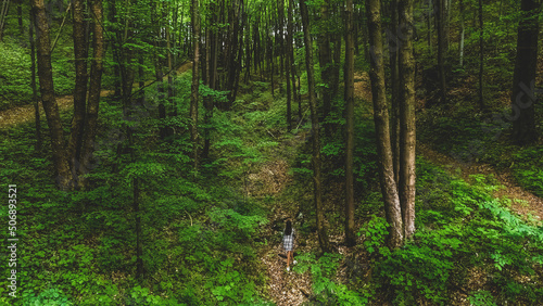 A woman walking in the woods 