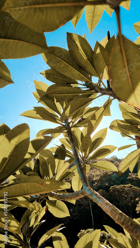 Nova Friburgo no inverno