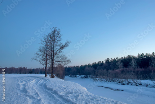 Majestic winter landscape. Winter dawn with a lone tree on the bank of a frozen river.