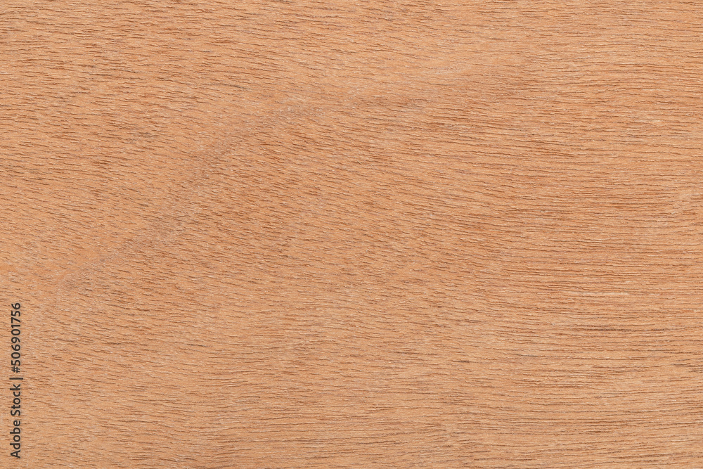 Fototapeta premium wood texture and brown wood grain
