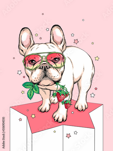Cute french bulldogdog with a sprig of strawberries. Sweet illustration in hand-drawn style. Stylish image for printing on any surface photo