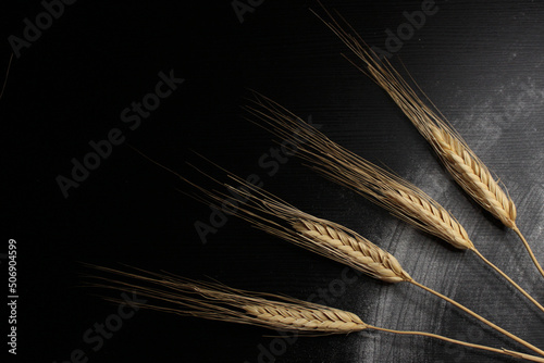 ears of wheat Fototapet