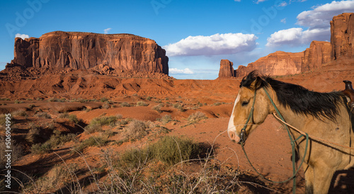 Oljato - Monument Valley red rocks and a horse at sunset, Utah, Arizona, USA photo