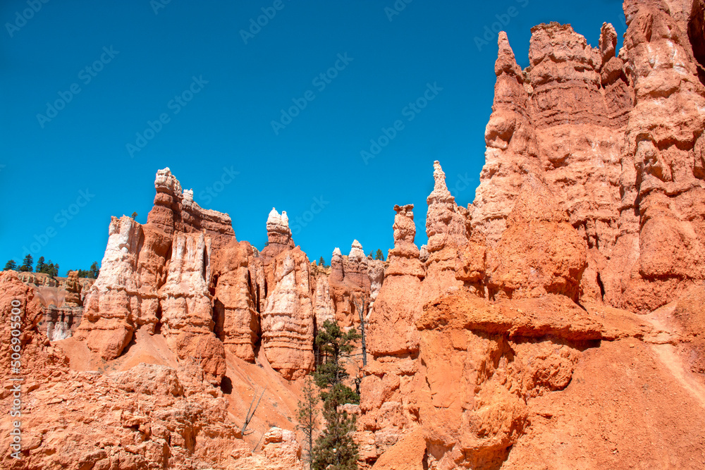 Hoodoos and rock formations. Unique rock formations from sandstone made by geological erosion in Bryce canyon, Utah, USA. 