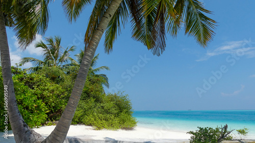 Eine Palme vor einem einsamen und idyllischen Strand sowie dem kristallklarem Meer auf einer exklusiven Insel der Malediven