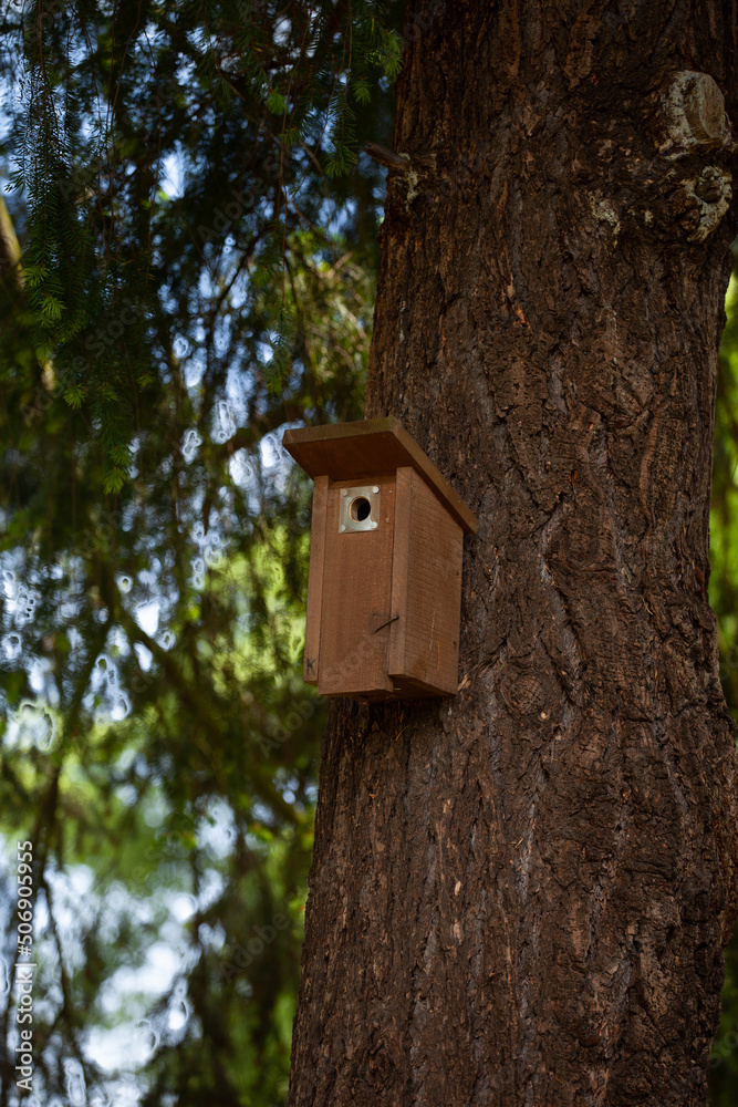 A birdhouse hung on the trunk of a resinous tree. A closed birdhouse for small birds is attached to the trunk of a tree.