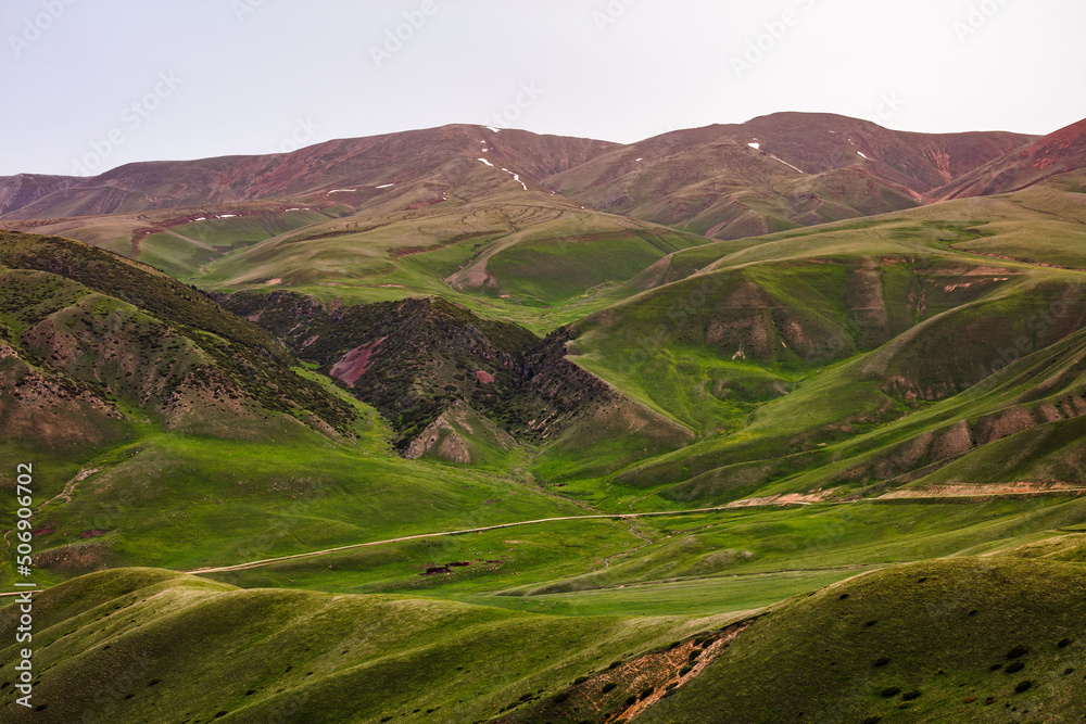 landscape in the morning