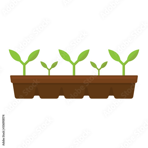 Saplings in pots icon. Plant in a tray. Color silhouette. Horizontal front side view. Vector simple flat graphic illustration. Isolated object on a white background. Isolate.