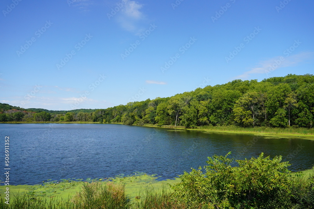Lush green forest around a lake