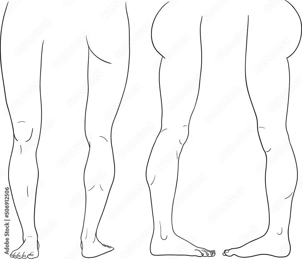 Vecteur Stock Human leg front back inner outer view vector illustration,  male anatomy line art | Adobe Stock
