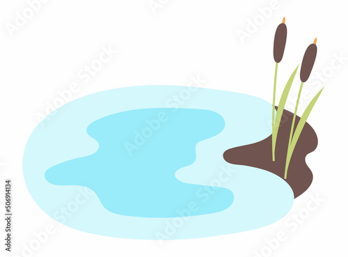 A small pond with reeds