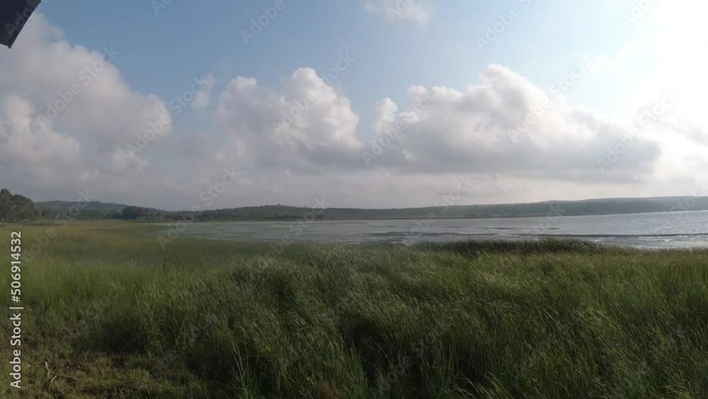 sea in cloudy weather, reeds swaying in the wind, sky and moving clouds, time-laps 2024 sea in cloudy weather, reeds swaying in the wind, sky and moving clouds, time-laps 2024