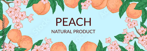 Hand drawn peach horizontal design. Vector illustration in sketch style