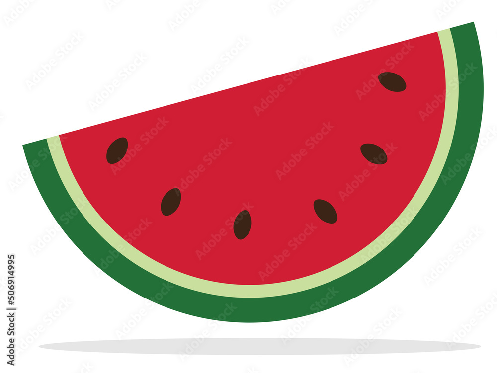water melon vector with isolated white background water melon vector with isolated white background
