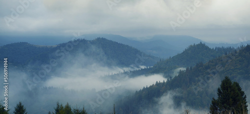 Foggy autumn morning in the Ukrainian Carpathians. Clouds of mist among the dark, spruce-covered hills. The dark beauty of the wild