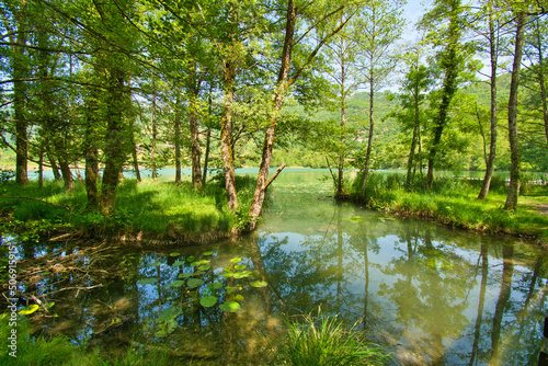 Fotografia Lac de St. Jean de Chevelu im Bugey in Frankreich