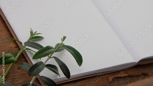 Small notebook with blank pages on an old brown wood and olive leaves