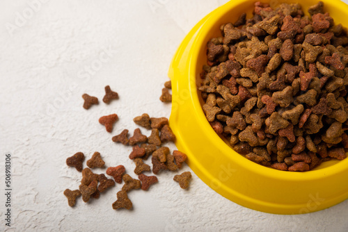 Dry cat food in a yellow bowl on a cement background. Vitamins and nutrients for good health and energy of pets.Copy space.