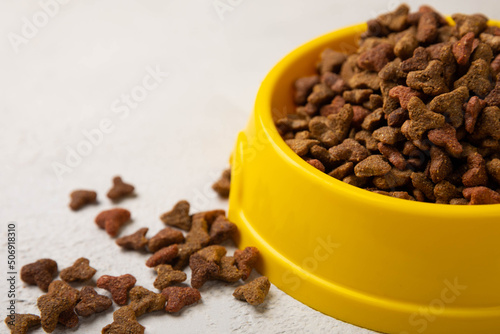 Dry cat food in a yellow bowl on a cement background. Vitamins and nutrients for good health and energy of pets.Copy space.