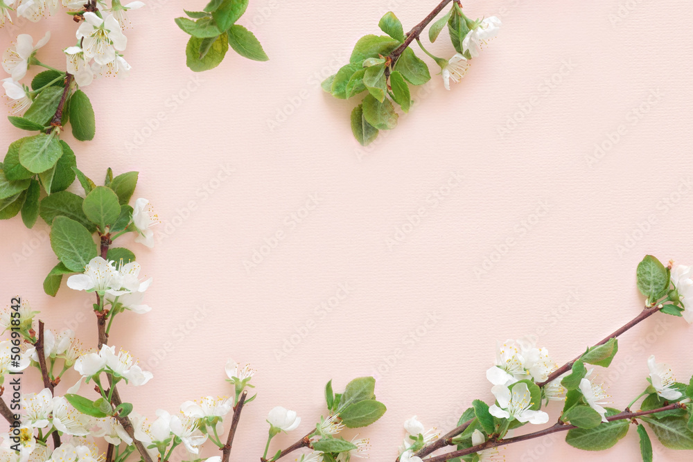 Apple flowers on pink paper background. Pastel colors. Flat lay, top view. Spring flowers with green leaves. Floral pattern. Creative trend composition. Layout with blooming fruit tree. Greeting Card - obrazy, fototapety, plakaty 