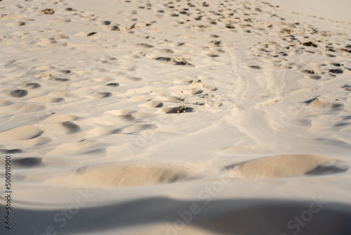 Areal nas dunas de Florianópolis, Brasil;  pegadas na areia