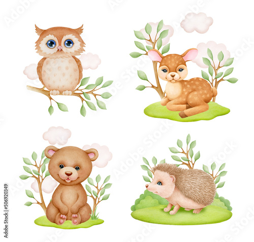 Watercolor illustration of bear  owl  hedgehog  deer and forest design elements. Woodland animal  children s illustration for print 