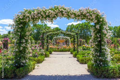 Botanical garden of Madrid in the Retiro park. Rose garden in spring. Flower-filled gardens with fountains and metal arches.