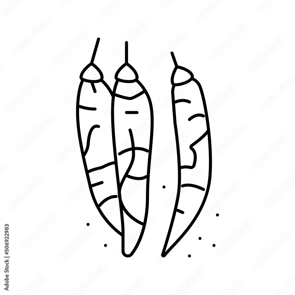dried chili pepper line icon vector illustration dried chili pepper line icon vector illustration
