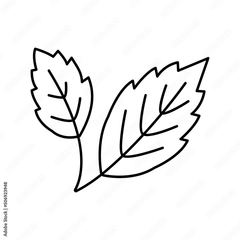 autumn leaf line icon vector illustration