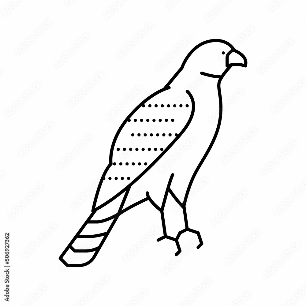 Fototapeta premium hawk bird line icon vector illustration