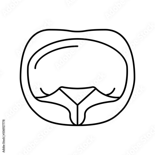 tortellini pasta line icon vector illustration