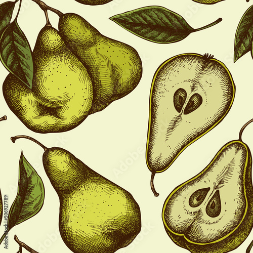 Fruits seamless pattern background design. Engraved style. Hand drawn pears.
