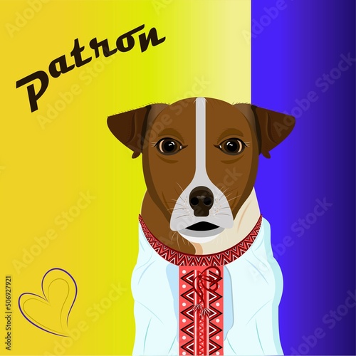 Little Ukrainian dog Patron with a bold lookin an embroidered shirt on a background of blue and yellow flag
