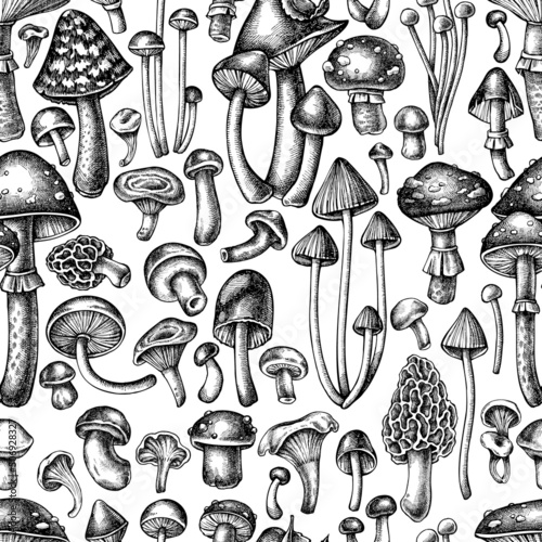 Forest mushrooms seamless pattern background design. Engraved style. Hand drawn mushrooms, fly agaric, blewit, etc.