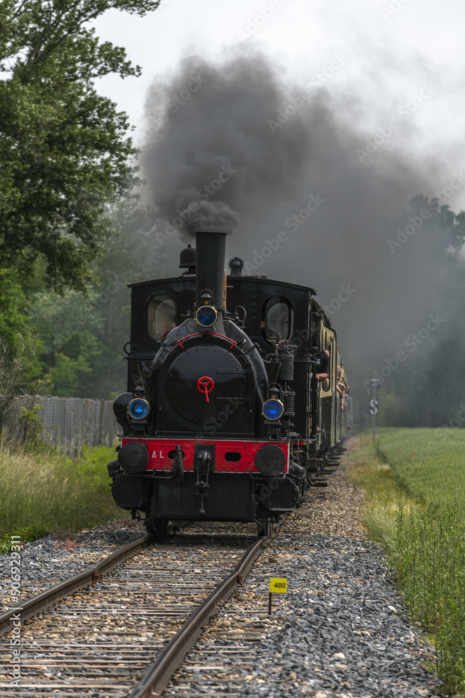 Obraz premium Steam locomotive of Rhine Tourist Railway in spring.