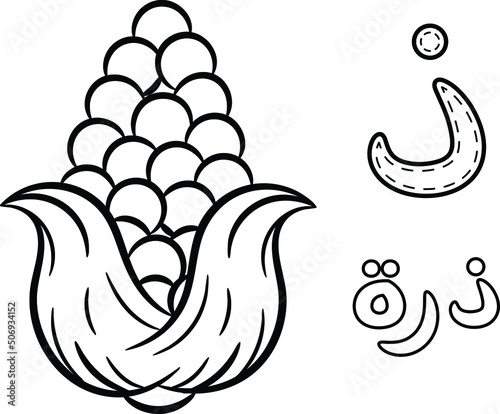 Printable Arabic letter alphabet sketch sheet learning the Arabic letter with corn for coloring