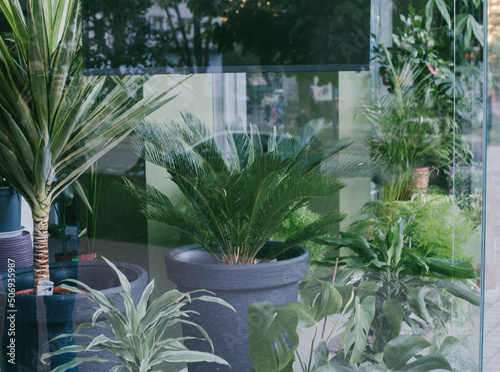 Glass shop window with flowers and reflection of the city