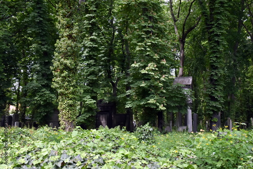 Fototapeta Naklejka Na Ścianę i Meble -  Jüdischer Friedhof in Berlin im Frühling