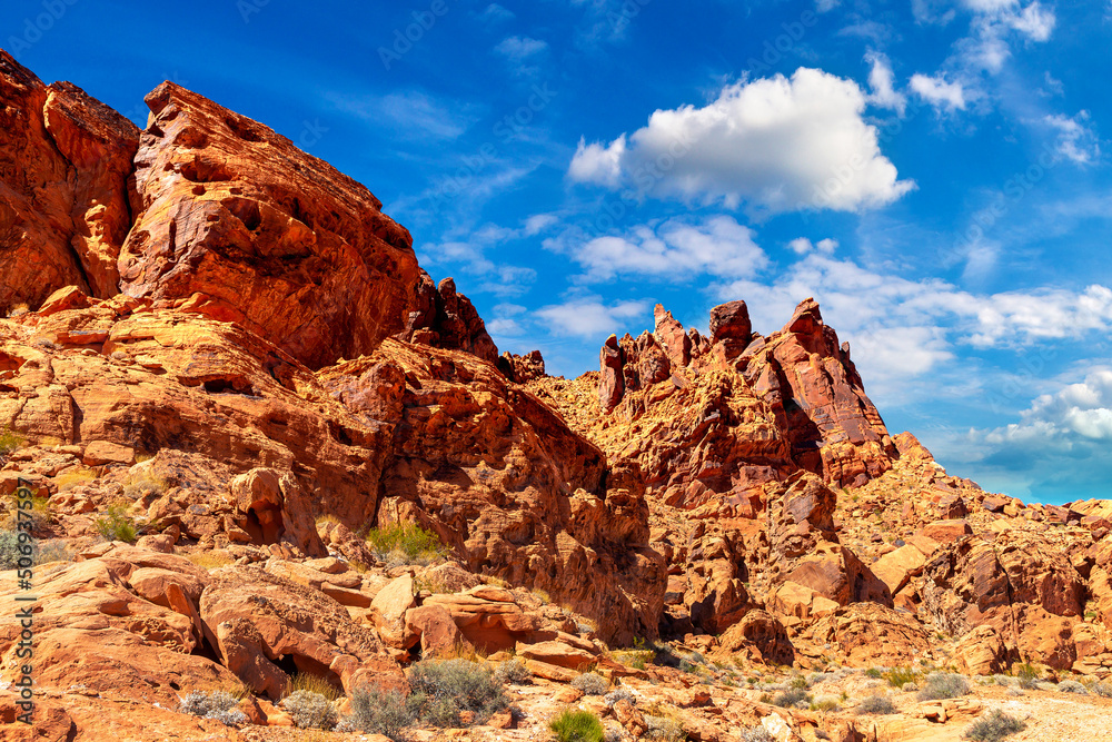 Fototapeta premium Valley of Fire State Park