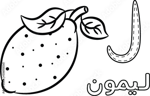 Printable Arabic letter alphabet sketch sheet learning the Arabic letter with lemon for coloring