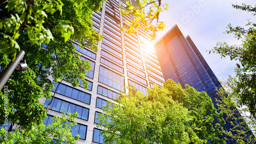 Fotografiet Fresh green trees and office building, business concept