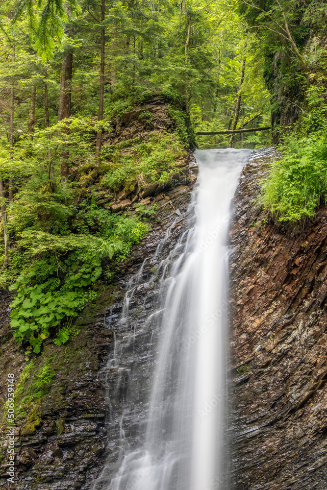 vertical view to forest waterfall in Ukrainian Carpathy