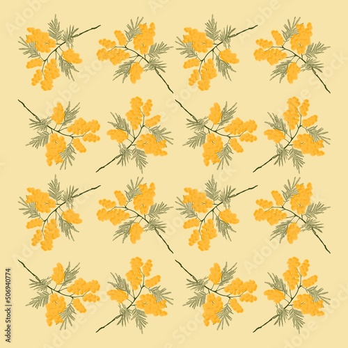 Pattern with yellow flowers. Mimosa. 