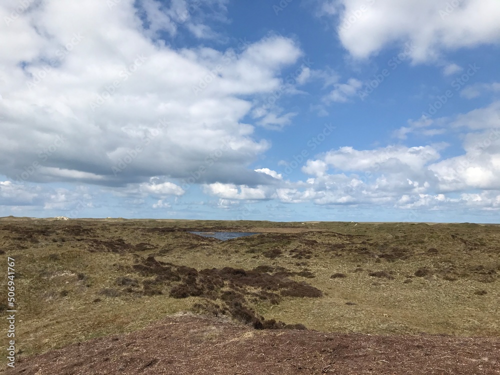 Fields on Texel